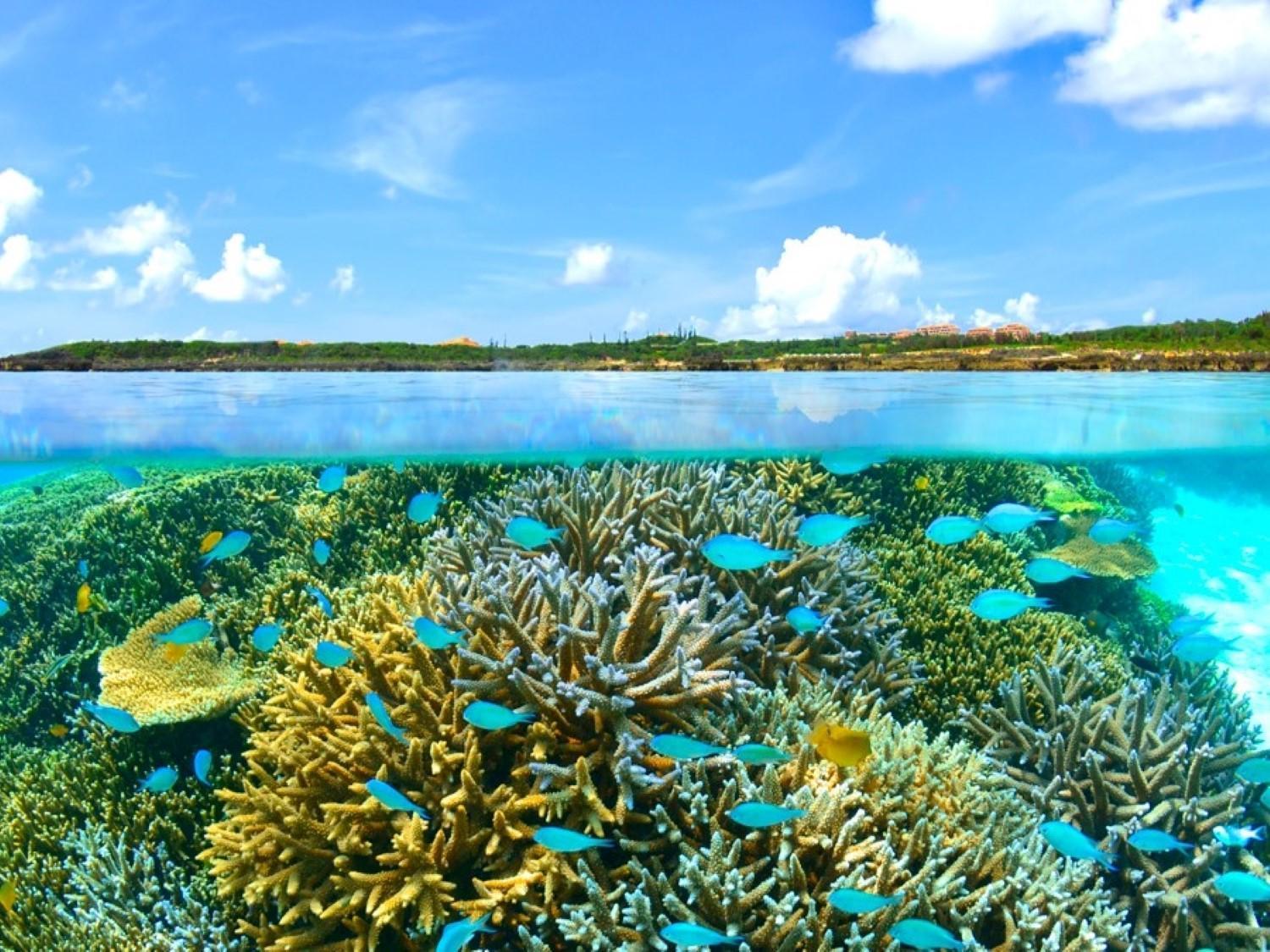 Hotel Shigira Mirage Miyakojima  Экстерьер фото